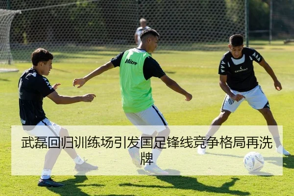 武磊回归训练场引发国足锋线竞争格局再洗牌